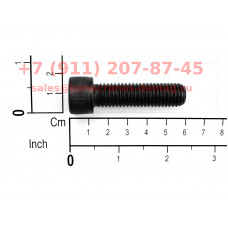 Винт с внутренним шестигранником M12x45 DIN 912